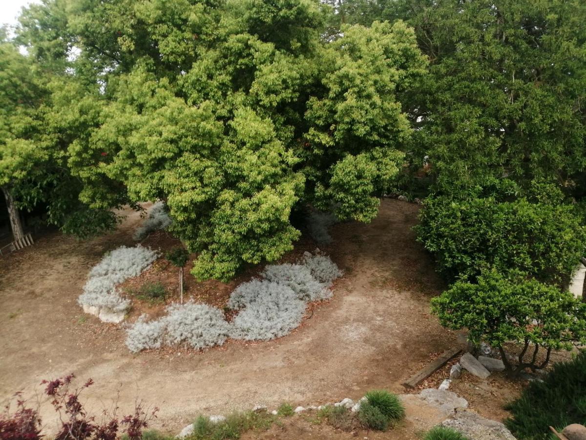 Giardini Irlandesi B&B Ruffano Dış mekan fotoğraf